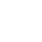 pone-icon